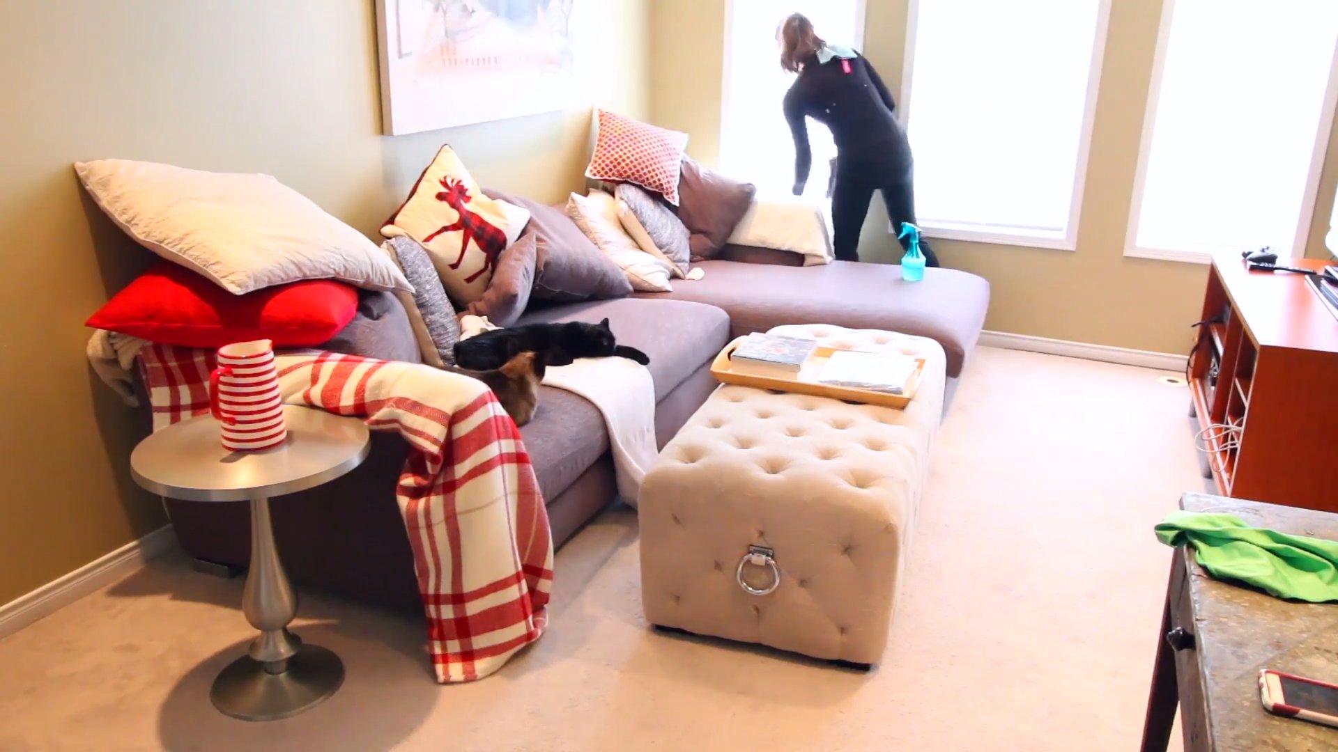 Living Room Cleaning Checklist